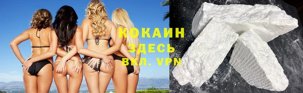 твердый Алзамай