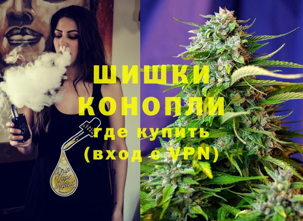 индика Алексеевка