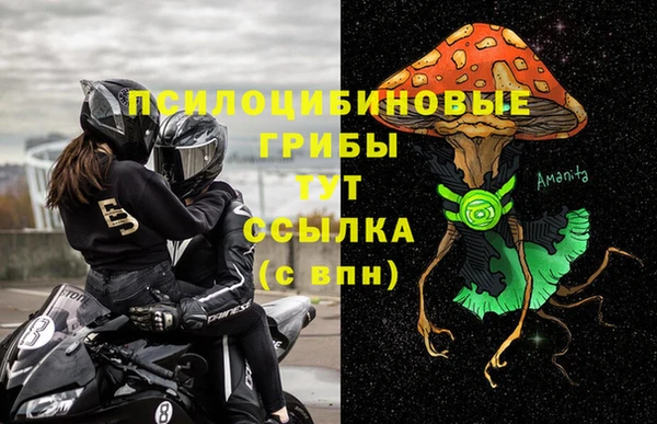 твердый Алзамай