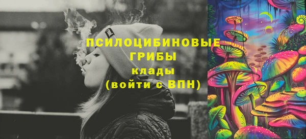 твердый Алзамай